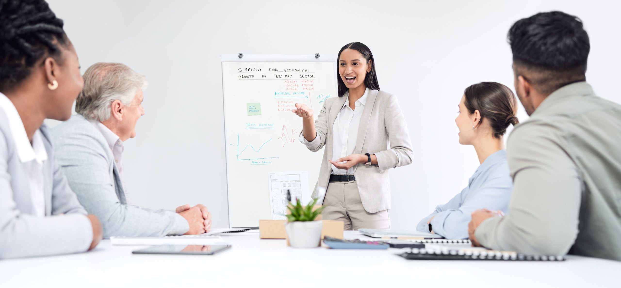 Mindset Excellence Program