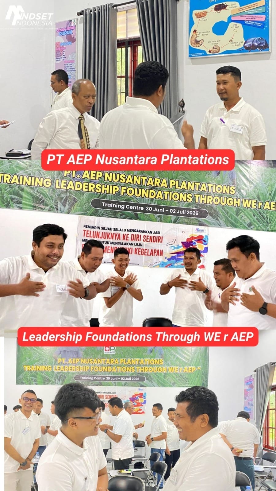 PT AEP Nusantara Plantations